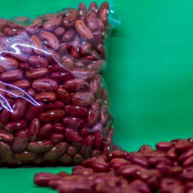 

Hemat promo kacang merah Benih mentah organik 1kg kacang merah kering