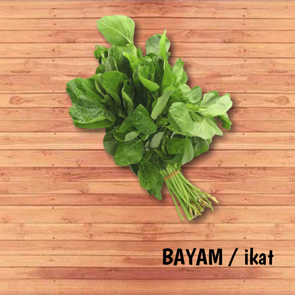 

SAYUR BAYAM SEGAR (1 Ikat) | PROMO TOKO BARU SUPER MURAH