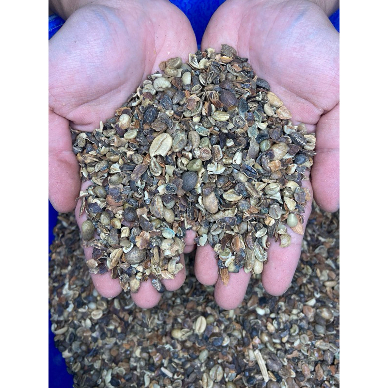 

Green bean/biji kopi mentah PIXEL