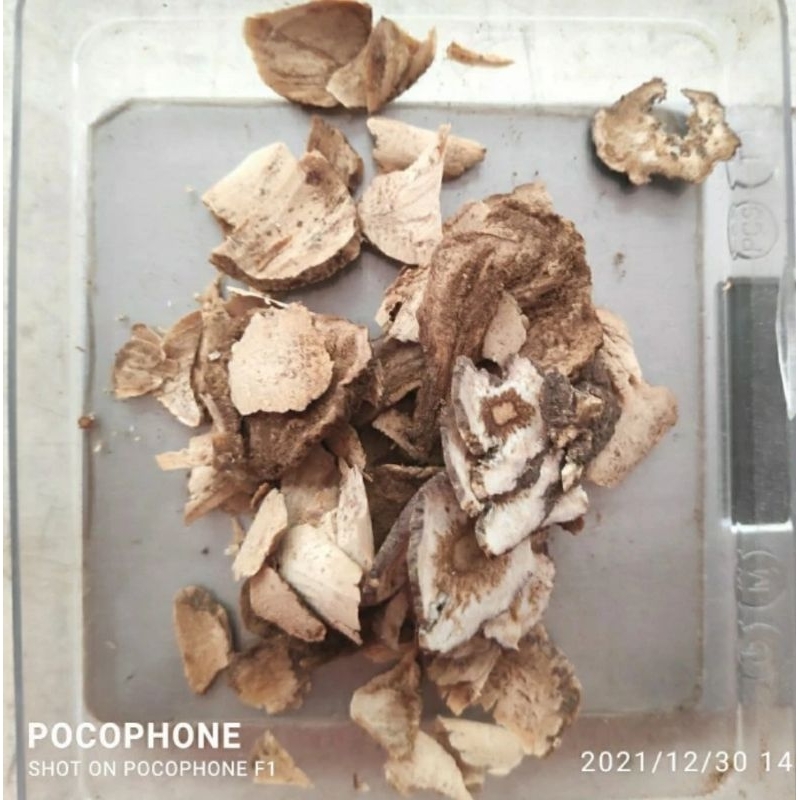 

50gr Herbal Macca 正品玛卡 Lepidium Meyenii Black Grade A