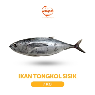 

Ikan Tongkol Sisik