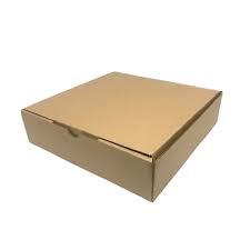 

Box Kardus Tebal 20x20x5 / 22x22x5 / 25x25x5 / Kotak Pizza