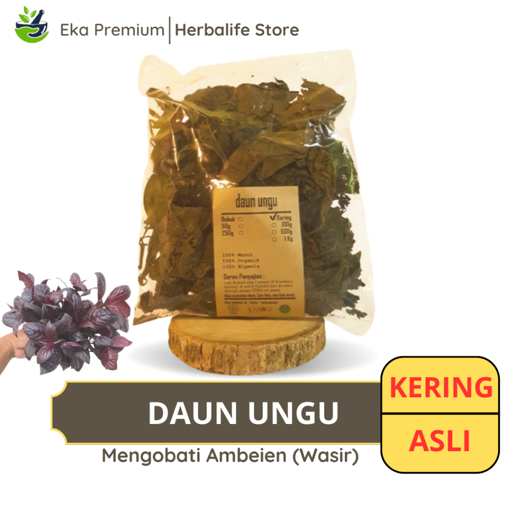 

DAUN UNGU KERING Puding Hitam Ramuan Rempah Herbal Murni Jamu Minuman Alami Tradisional Simplisia Graptopyllum Pictum