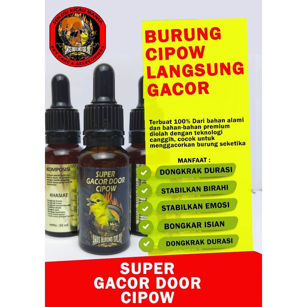 SUPER GACOR DOOR CIPOW CIPOH PENGGACOR SEKETIKA