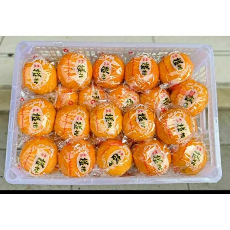 

jeruk ponkam keranjang 8kg