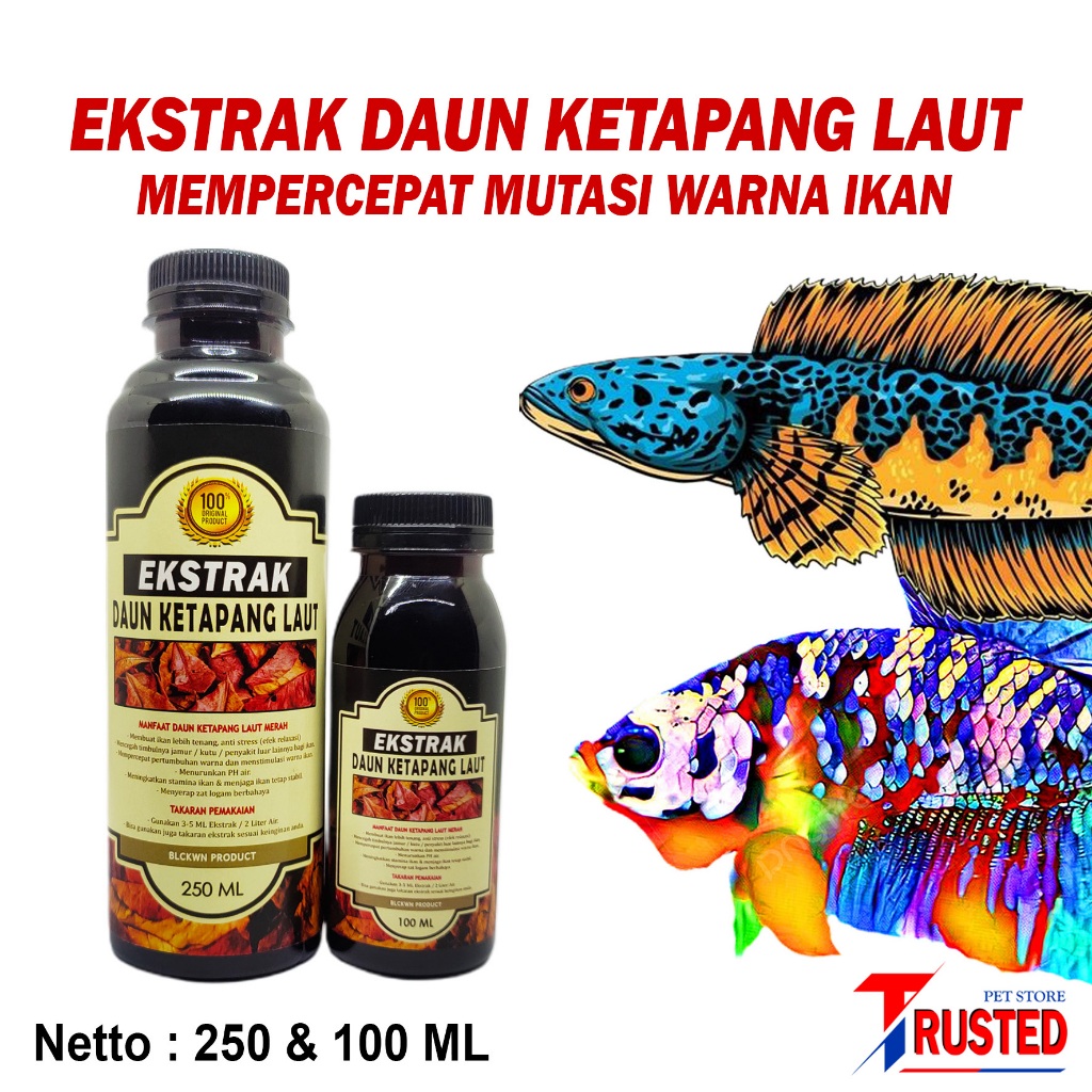 EKSTRAK DAUN KETAPANG MEMPERCEPAT MUTASI WARNA IKAN CHANNA DAN CUPANG