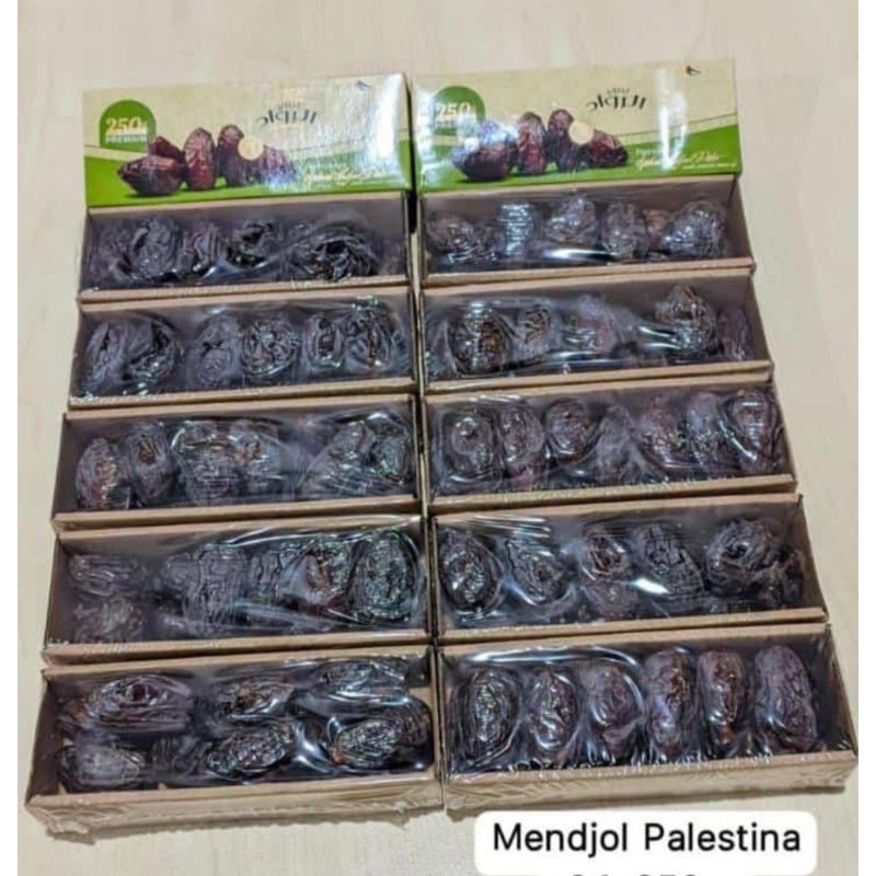 

Medjol Palestina