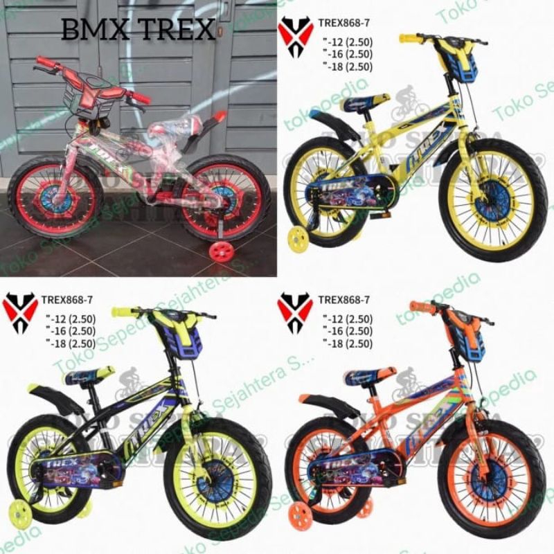 Sepeda anak BMX 18 Trex Viper