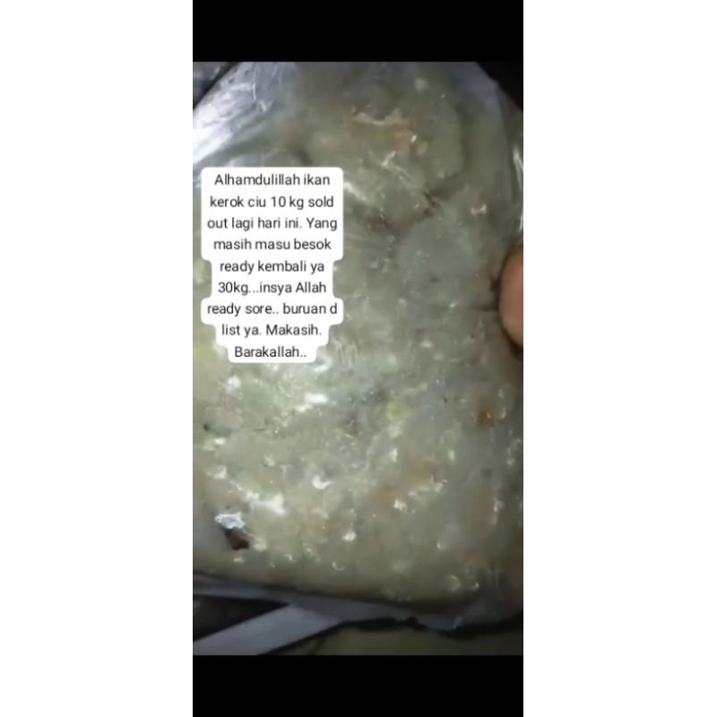 

Daging Ikan Ciu Kerok