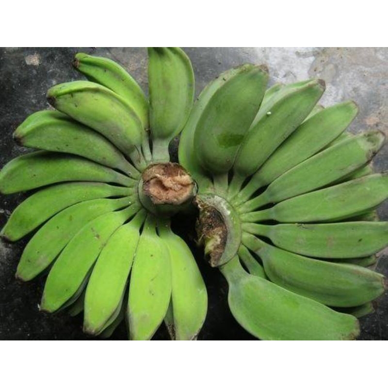 

pisang kepok sukabumi