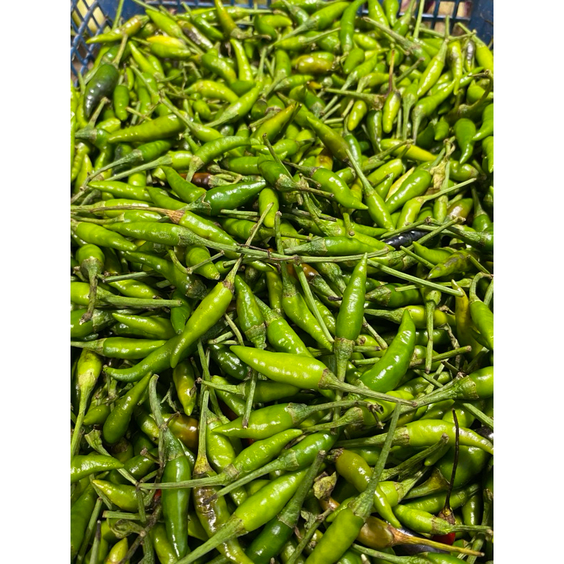 

cabe rawit hijau 250 g