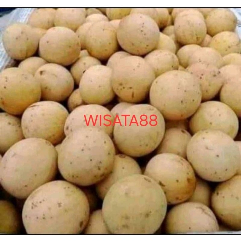 

buah duku palembang 500gr manis legit lokal indonesia