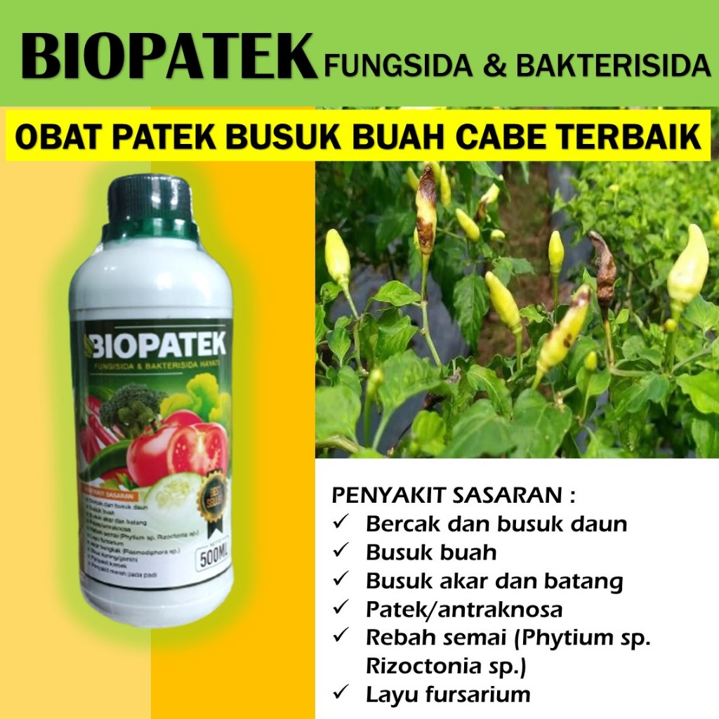 (PROMO) BIOPATEK Obat Layu Daun dan Busuk Buah cabe - Fungisida Hayati BIOPATEK Layu Fusarium cabe d