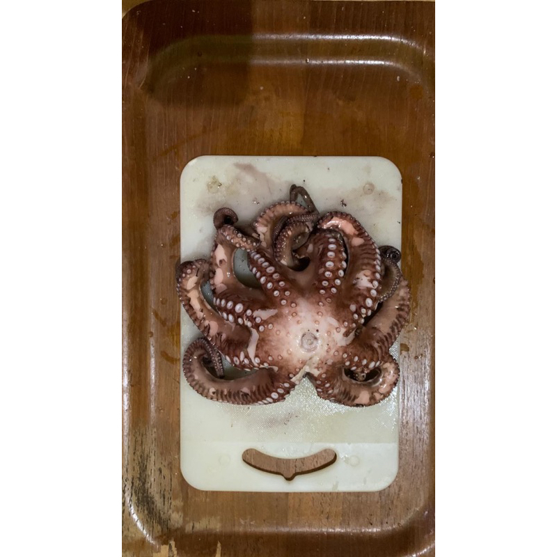 

gurita potong / gutira utuh fresh @500 gram