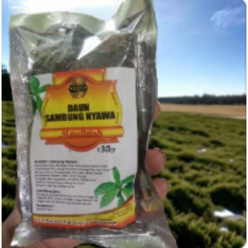 

Teh daun sambung nyawa//Teh herbal daun sambung isi 30 gram