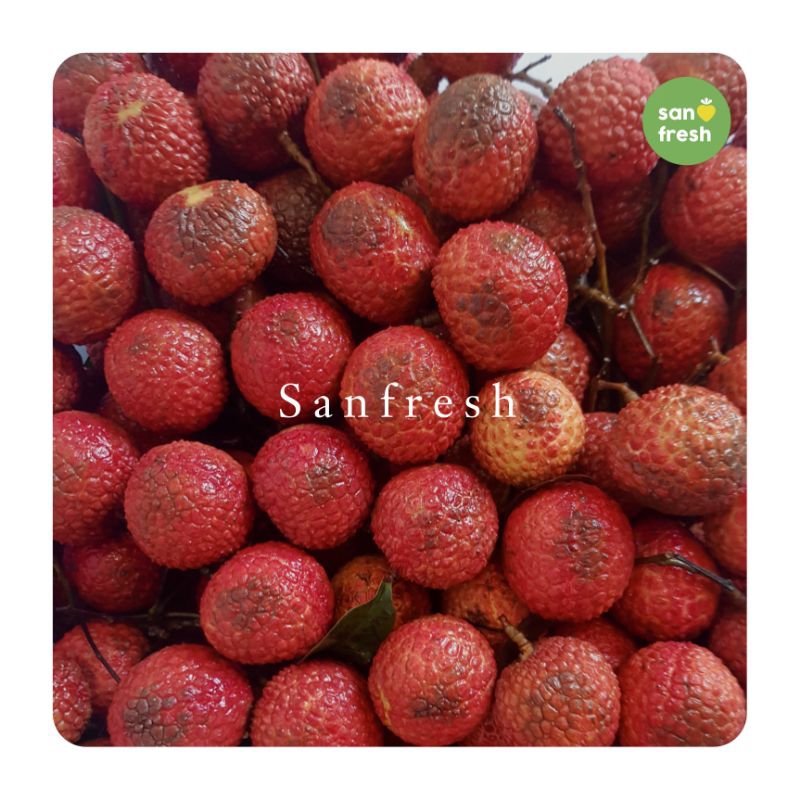 

Lechy Segar dan Berkualitas Tinggi - Sanfresh