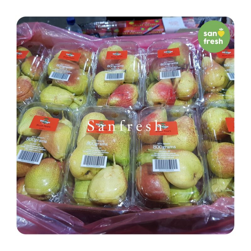 

Sensasi Manis Segar Pir Forelle - Nikmati Kesegaran Alami! - Sanfresh