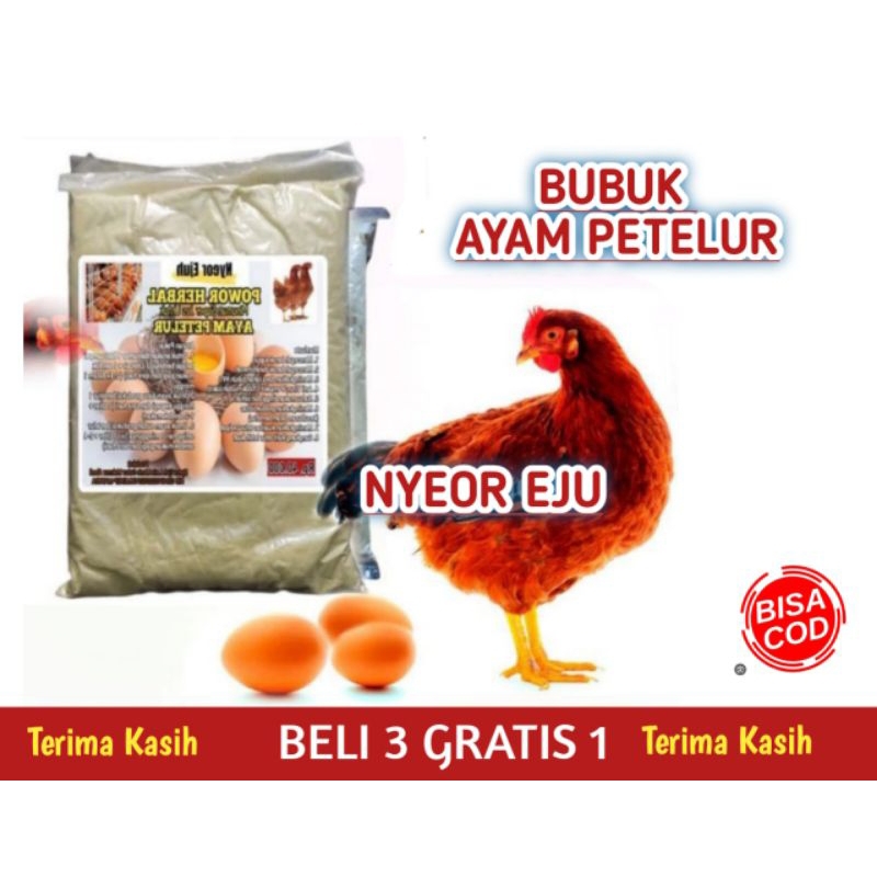 nafsu makan ayam petelur