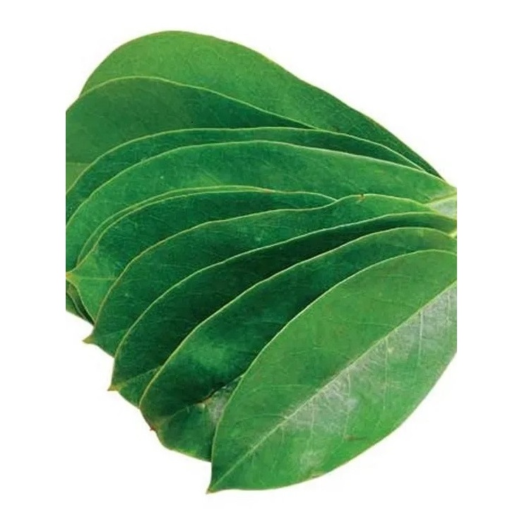 

Daun Sirsak Segar 100 Lembar Alami non Hibrida(Bebas Pestisida)