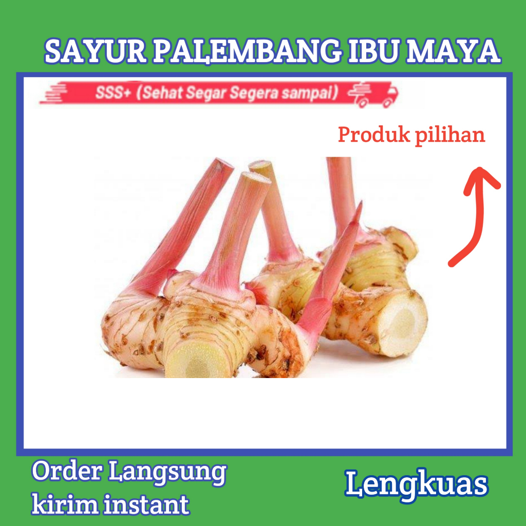 

Lengkuas 250 gram - Sayur Palembang Ibu Maya