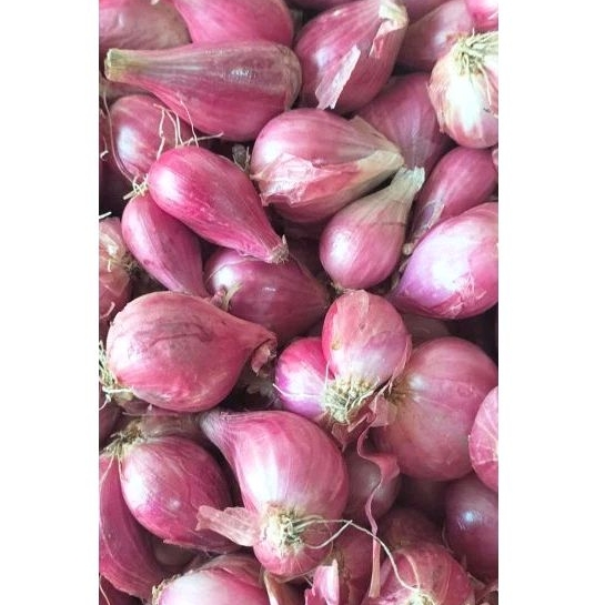 

Bawang Merah 500gr