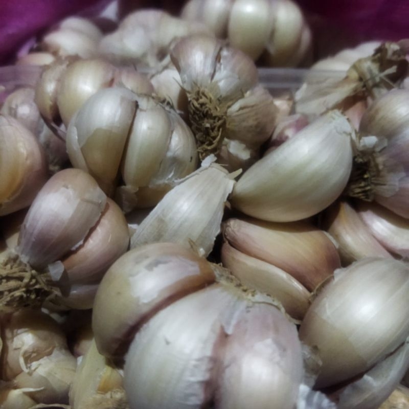 

Bawang Putih Protol 500g