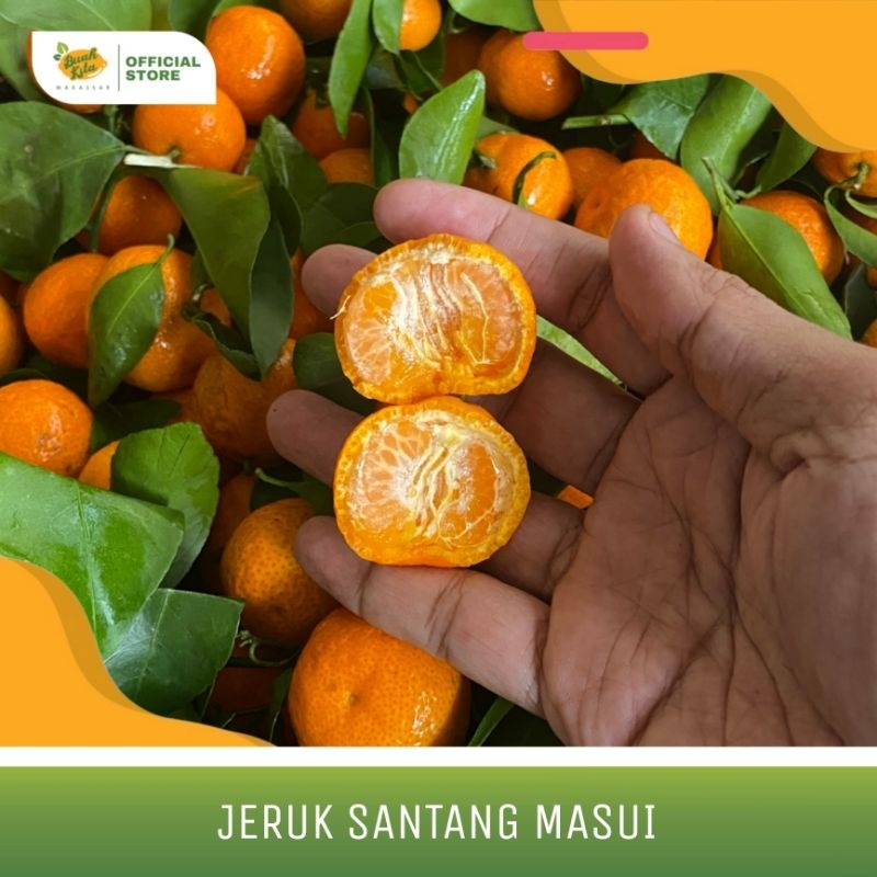 

JERUK SANTANG IMPORT MASUI
