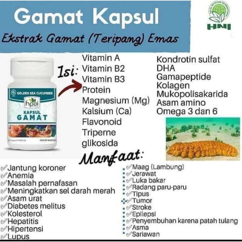 Gamat hni