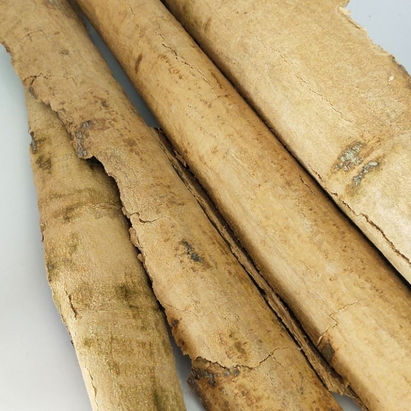 

KULIT KAYU PULE KERING/PULAI/OBAT HERBAL 1000gr