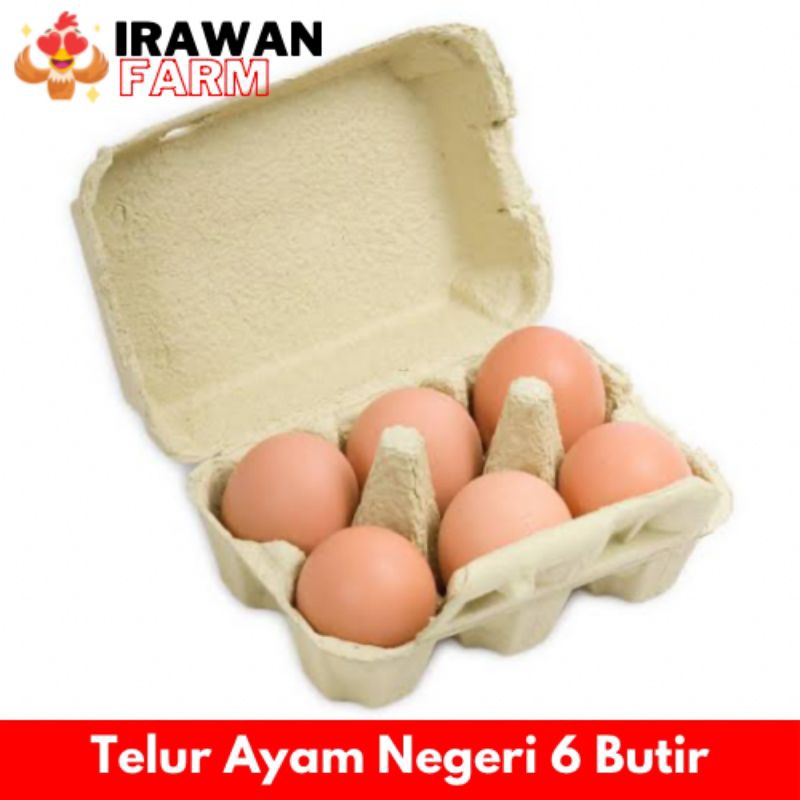 

TELUR AYAM NEGERI ISI 6 BUTIR