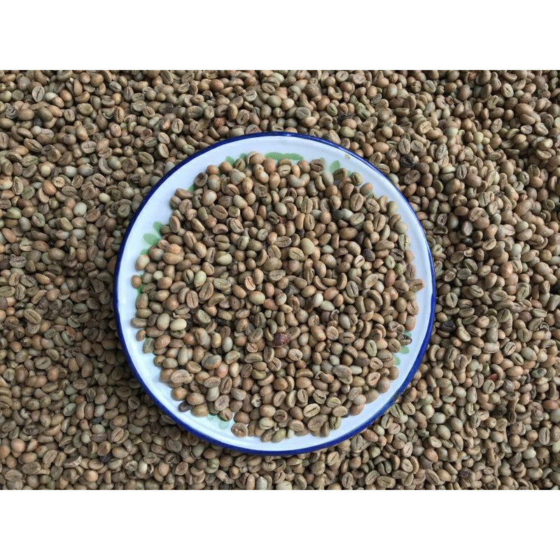 

Kopi robusta dampit grade bagus 1kg