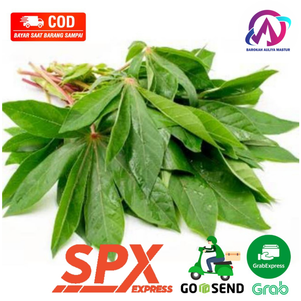 

Daun Singkong Fresh per Ikat Sayuran Daun Kirim Instan BAM Pasar Online Murah Padang