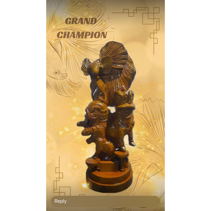 cupang plakat dumbo ear gold