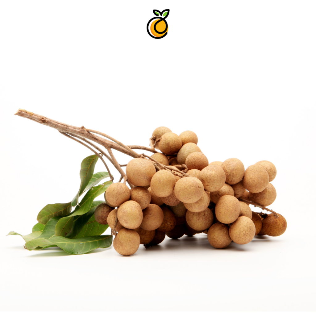 

[PROMO] KELENGKENG PREMIUM | KELENGKENG GOLDEN 1 KG | KELENGKENG MANIS