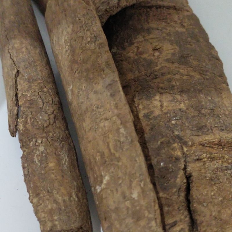 

KAYU SINTOK MADU 1000gr