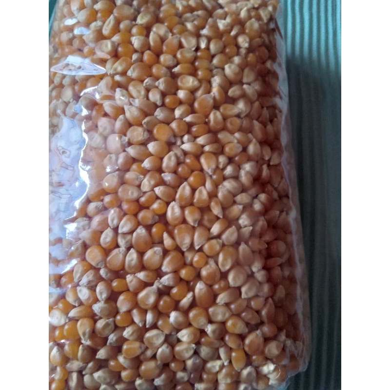 

Jagung pop corn 1Kg /jagung mentah/snack