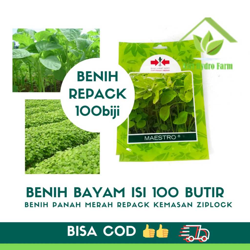 Benih Sawi Kumala REPACK ISI 100Biji Benih Pertiwi