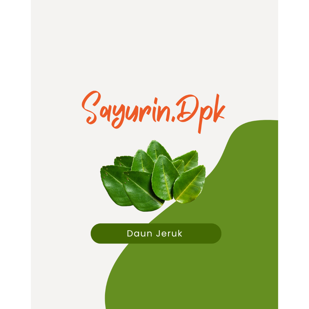 

Daun Jeruk