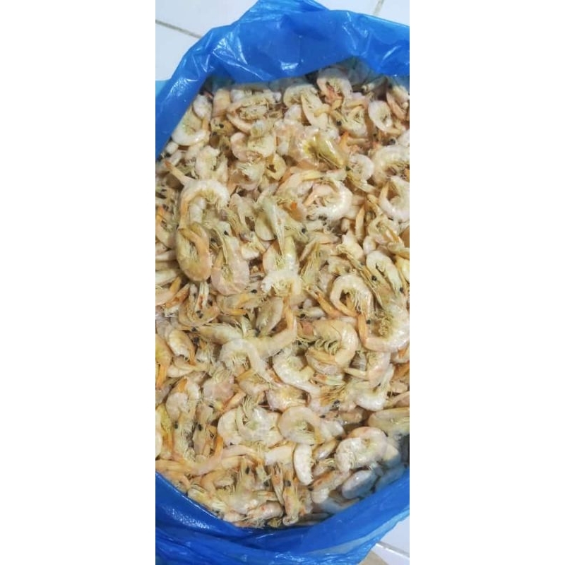

udang kering