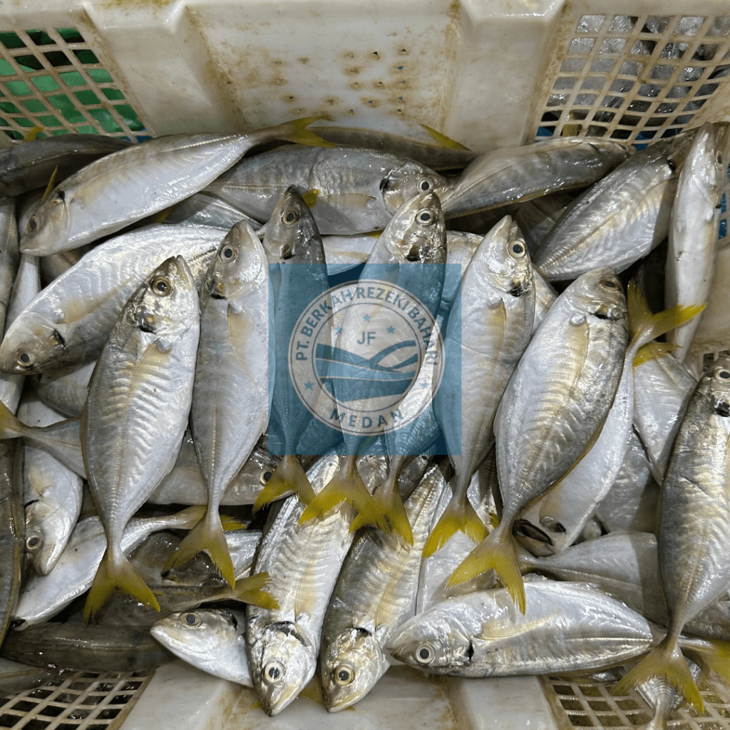 

Ikan Selar Segar per kg