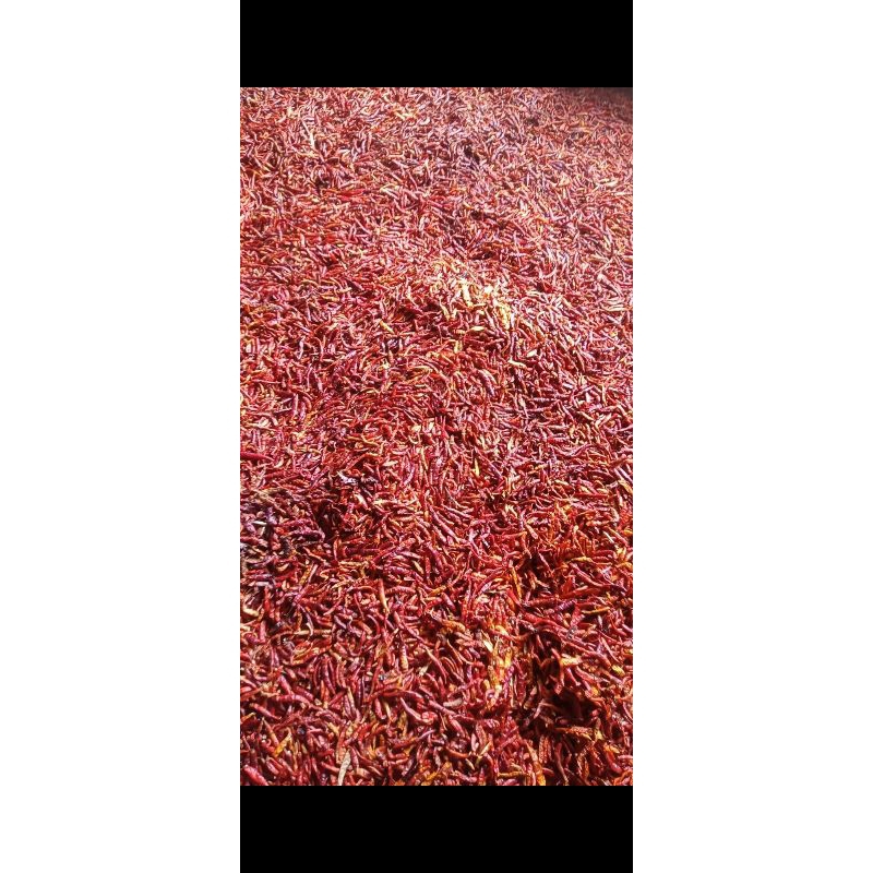 

Rawit setan panjang 1 kg