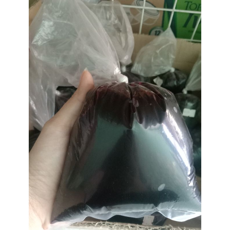 

LEPATTA Tropicana blueberry selai halus 500g