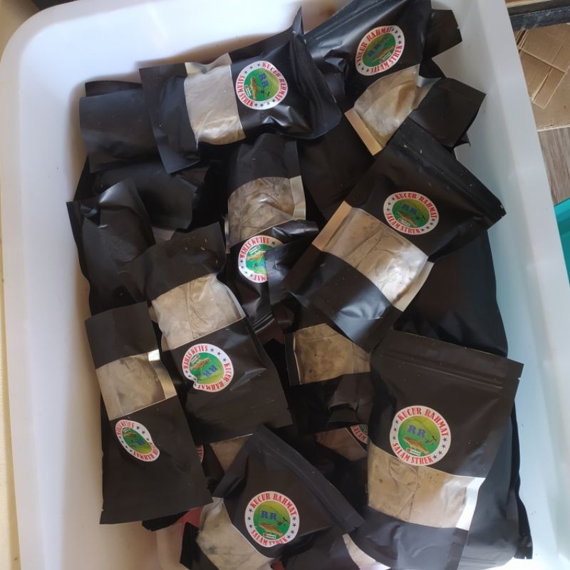 kucur rahmat kucur rr umpan baung