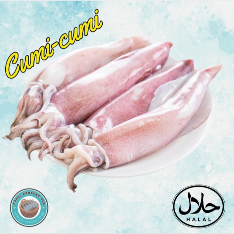 

Cumi Segar 500gram / Cumi Bangka / Jumbo Beku