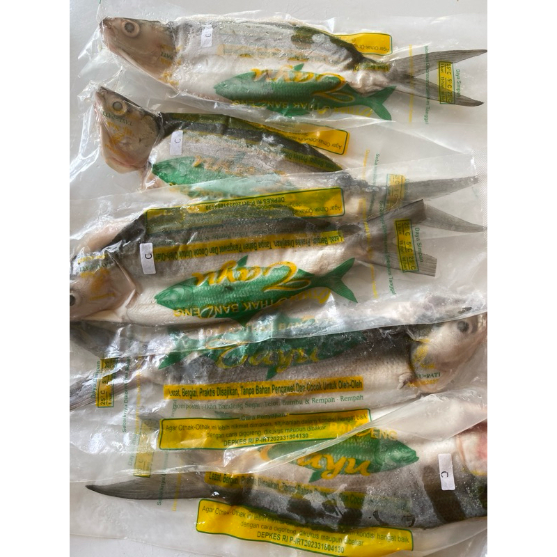 

Bandeng Frozen Cabut Duri Tinggal Diolah