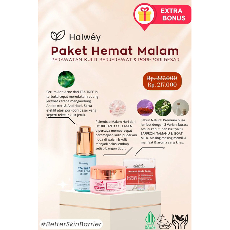 HALWEY SKINCARE INDONESIA PAKET HEMAT MALAM ANTI ACNE