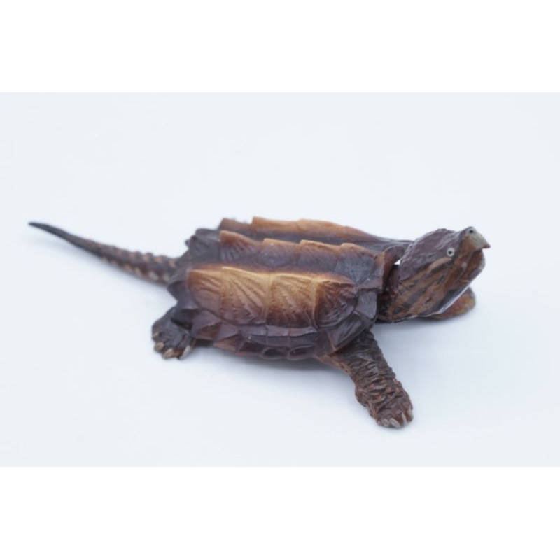 Alligator Snapping Turtle Tortoise Kura Pajangan Koleksi Figure Binatang Animal Collection