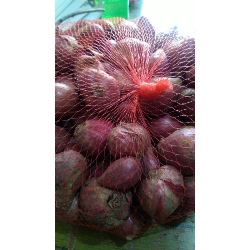 

Bawang Merah tanggung kering