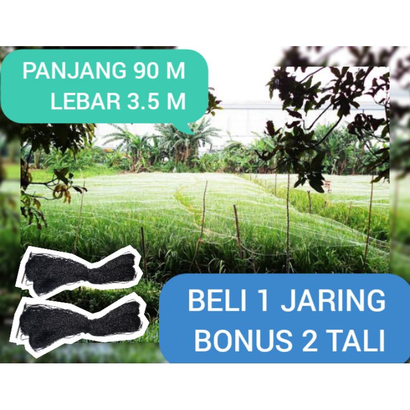 TERMURAH BONUS 2 TALI jaring sawah jaring burung jaring padi jaring pengaman tanaman jaring burung e