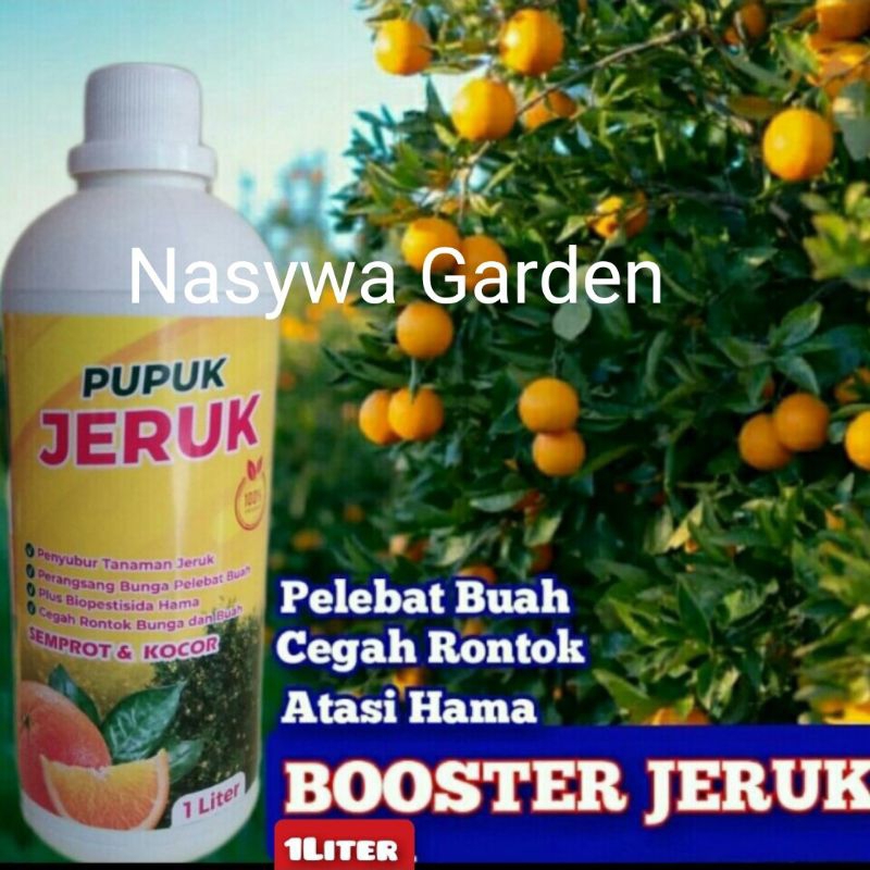 Pupuk Jeruk Bali / Pamelo Merah Perangsang Pelebat Buah Jeruk Organik Booster Pupuk Jeruk 1Liter Pup